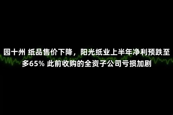园十州 纸品售价下降，阳光纸业上半年净利预跌至多65% 此前收购的全资子公司亏损加剧