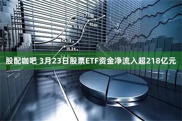 股配咖吧 3月23日股票ETF资金净流入超218亿元