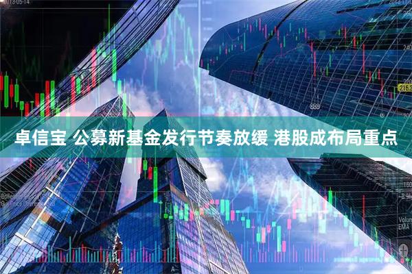 卓信宝 公募新基金发行节奏放缓 港股成布局重点