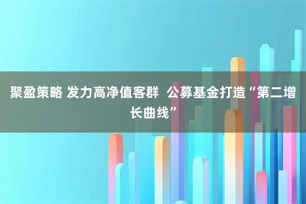 聚盈策略 发力高净值客群  公募基金打造“第二增长曲线”