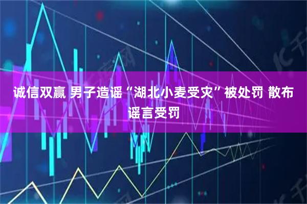 诚信双赢 男子造谣“湖北小麦受灾”被处罚 散布谣言受罚