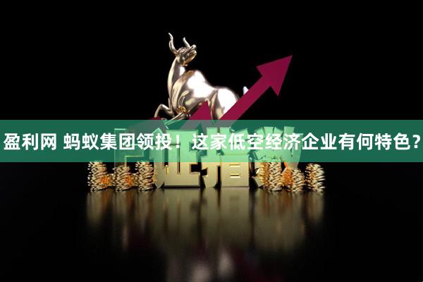 盈利网 蚂蚁集团领投！这家低空经济企业有何特色？