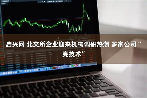 启兴网 北交所企业迎来机构调研热潮 多家公司“亮技术”
