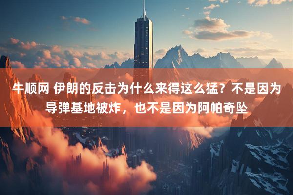 牛顺网 伊朗的反击为什么来得这么猛？不是因为导弹基地被炸，也不是因为阿帕奇坠